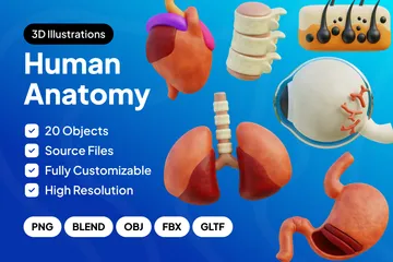 Anatomie humaine Pack 3D Icon