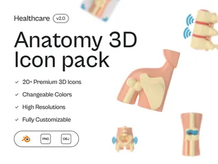 解剖学 3D Iconパック