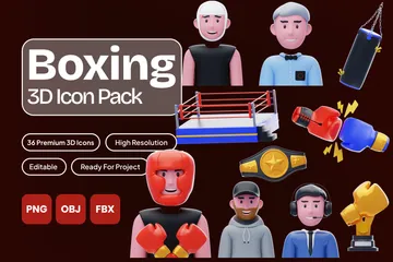 Boxing 3D Icon Pack