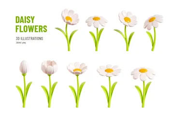 Daisy Flower 3D Icon Pack