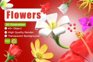 꽃들 3D Icon 팩
