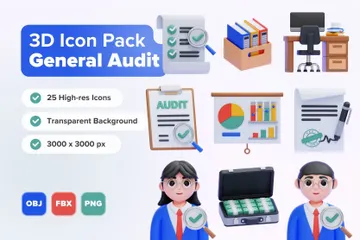 General Audit 3D Icon Pack