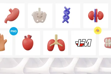 Human Body 3D Icon Pack