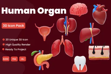 人間の臓器 3D Iconパック