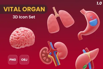 Human Organs 3D Icon Pack