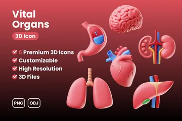Human Organs 3D Icon Pack