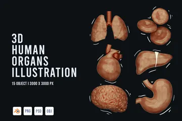 人間の臓器 3D Iconパック