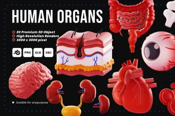 Human Organs 3D Icon Pack