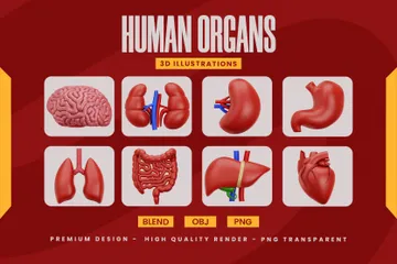 Human Organs 3D Icon Pack