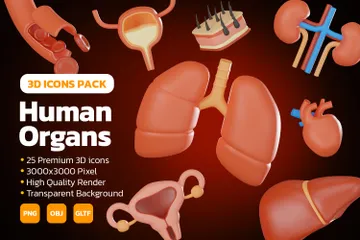 Human Organs 3D Icon Pack