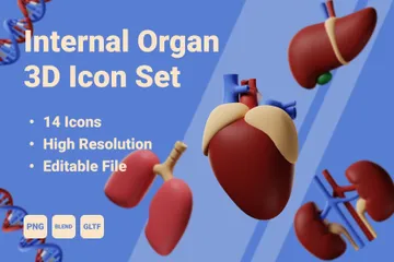 Inneres Organ 3D Icon Pack