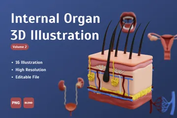 Internal Organ Volume 2 3D Icon Pack