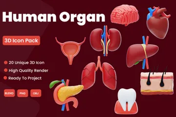 Menschliches Organ 3D Icon Pack