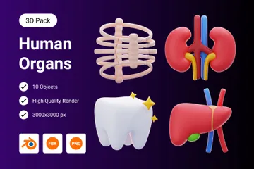 Menschliches Organ 3D Icon Pack