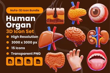 Menschliches Organ 3D Icon Pack