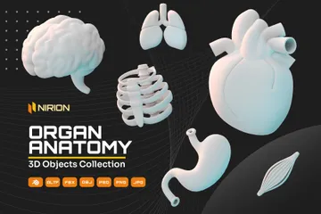 Organanatomie 3D Icon Pack