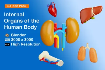 Órganos internos del cuerpo humano Paquete de Icon 3D