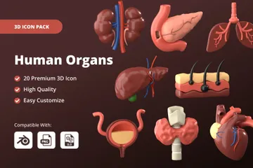 Órgãos Humanos Pacote de Icon 3D