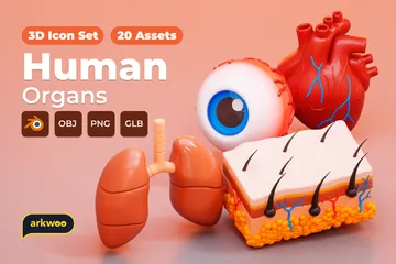 Órgãos Humanos Pacote de Icon 3D