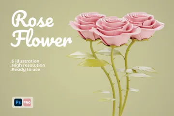 Une rose Pack 3D Illustration