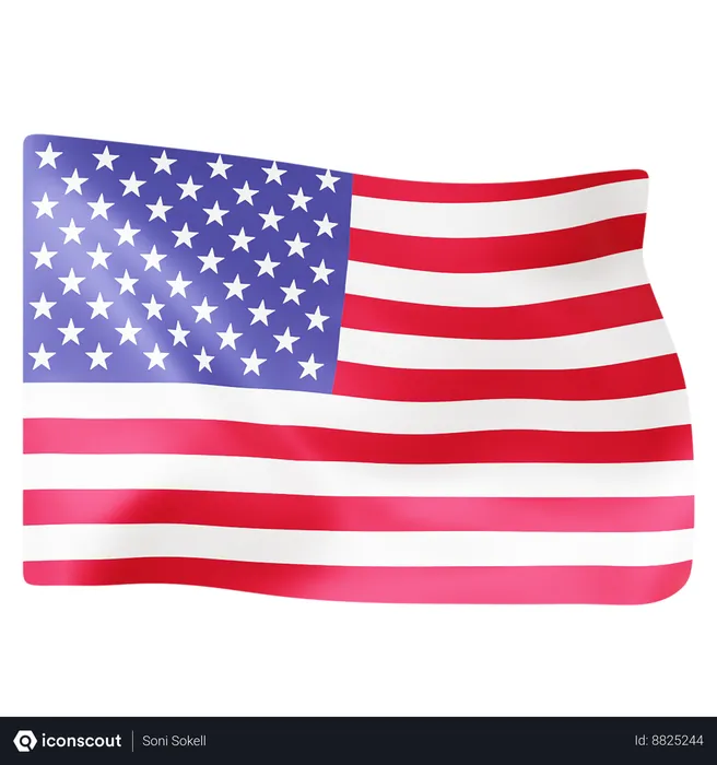 Free Flag of the United States  3D Icon