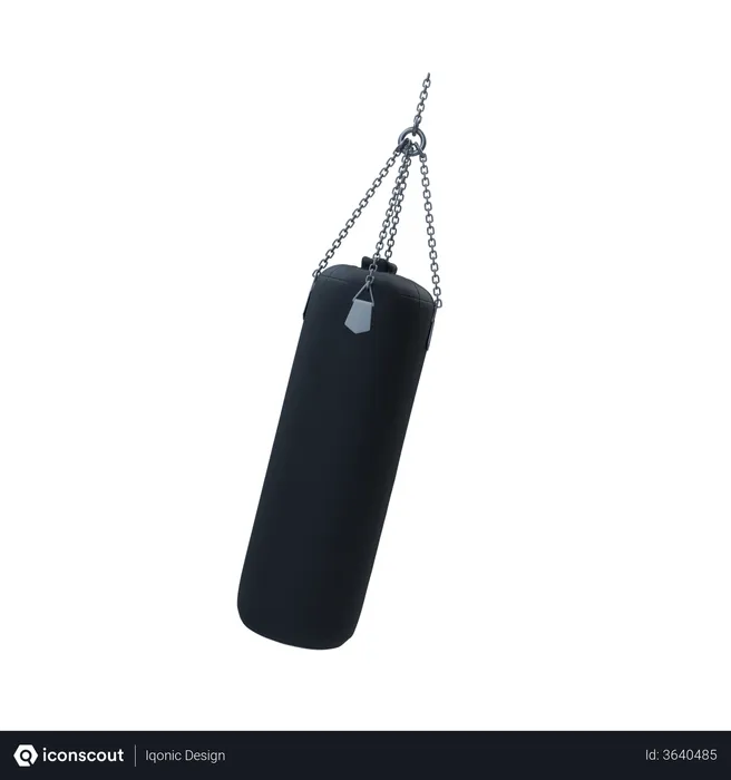 Free Punching Bag  3D Illustration