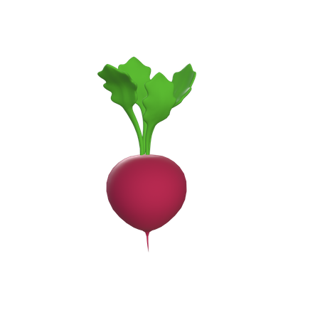 Free Beet  3D Icon