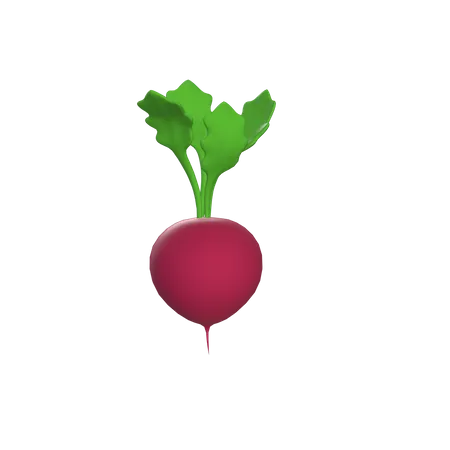 Free Beet  3D Icon