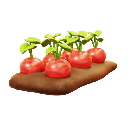 Free Beetroot Farming  3D Icon