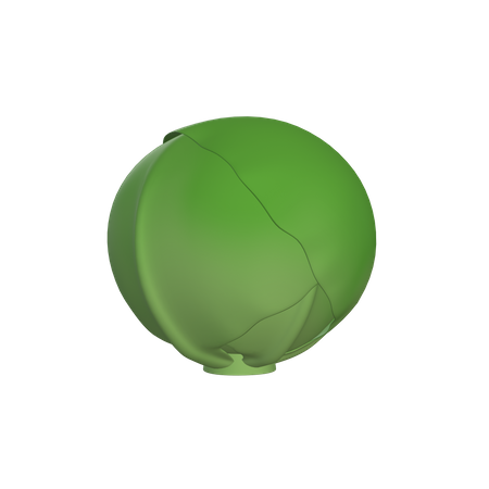 Free Cabbage  3D Icon