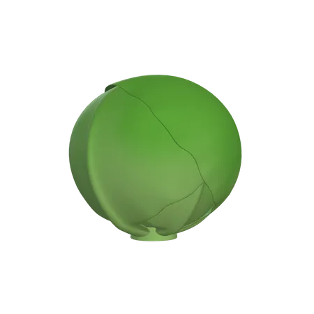 Free Cabbage  3D Icon