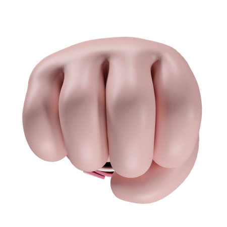 Free Fist Hand Gesture  3D Icon