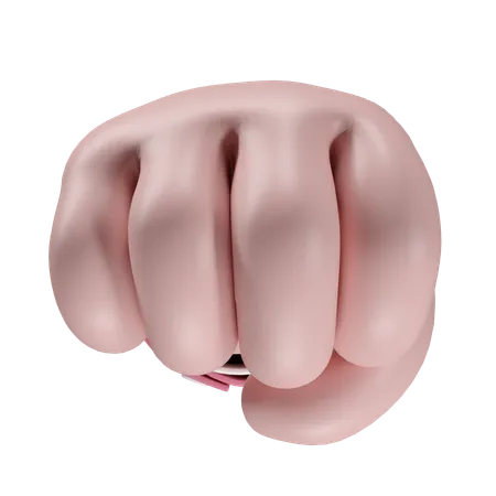 Free Fist Hand Gesture  3D Icon