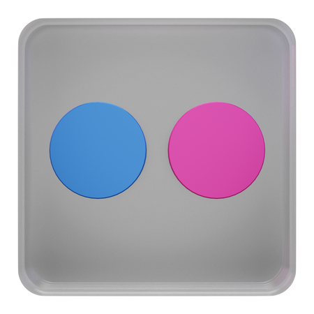 Free Flickr  3D Icon