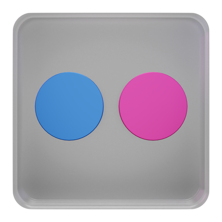 Free Flickr  3D Icon