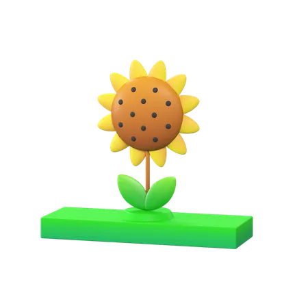 Free Girasol  3D Icon