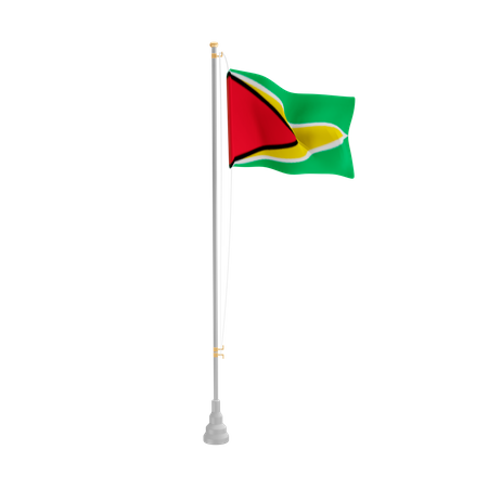 Free Guyana  3D Flag