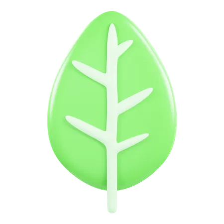 Free Leaf  3D Icon