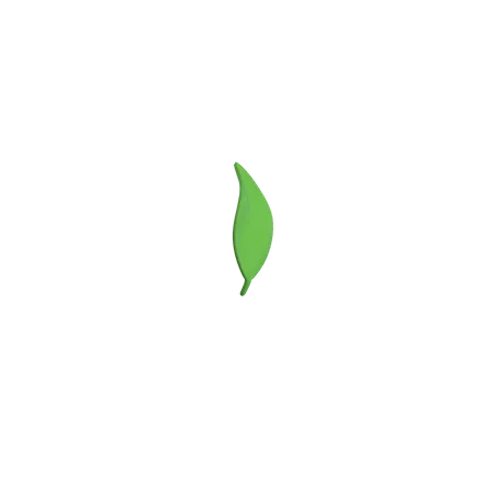 Free Leaf  3D Icon