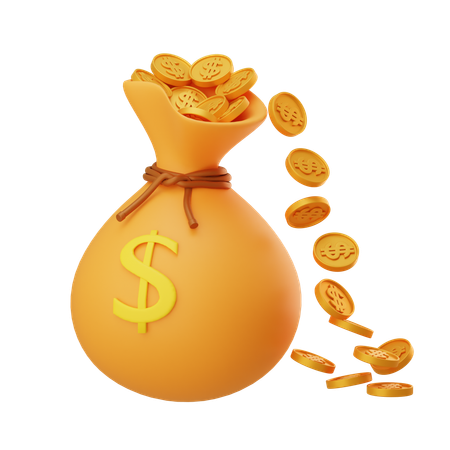 Free Money Bag  3D Icon