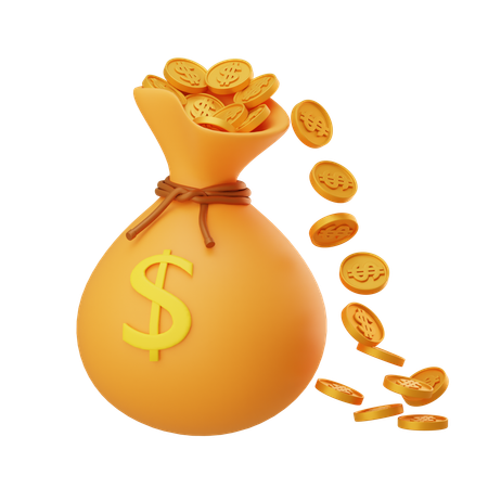 Free Money Bag  3D Icon
