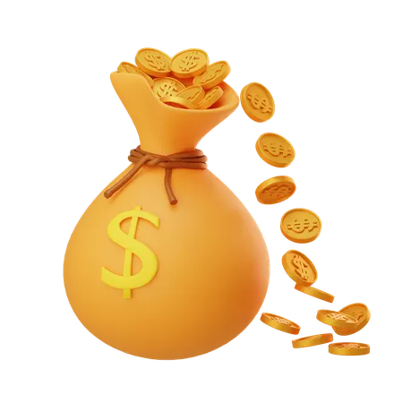 Free Money Bag  3D Icon