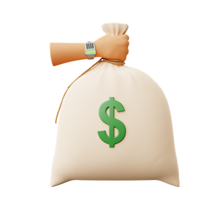 Free Money Sack  3D Icon