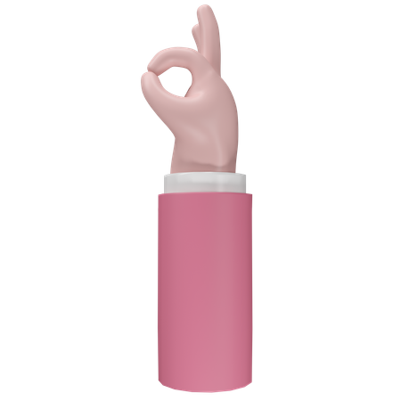 Free Ok, geste de la main  3D Icon