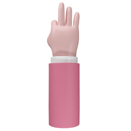 Free Ok, geste de la main  3D Icon