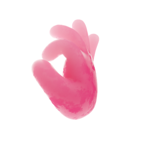 Free Ok gesto con la mano  3D Icon