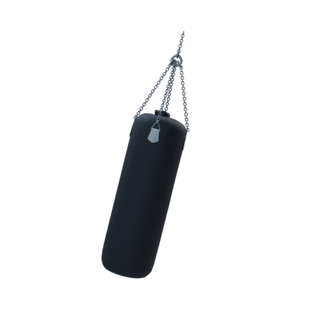 Free Punching Bag  3D Icon