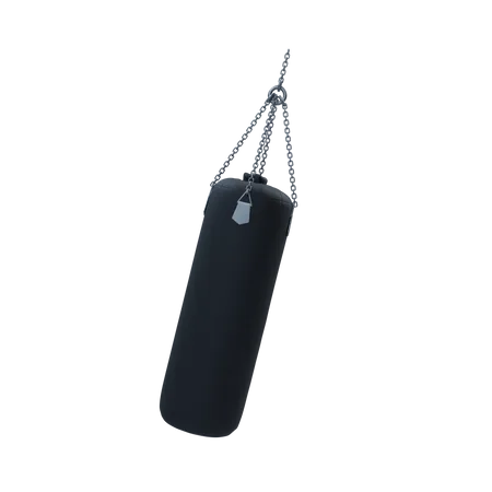 Free Punching Bag  3D Illustration