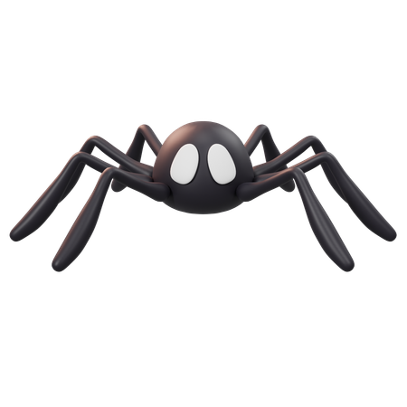 Free Spider  3D Icon