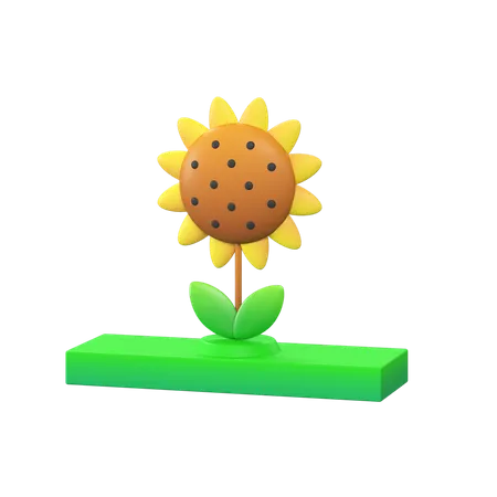Free Sunflower  3D Icon